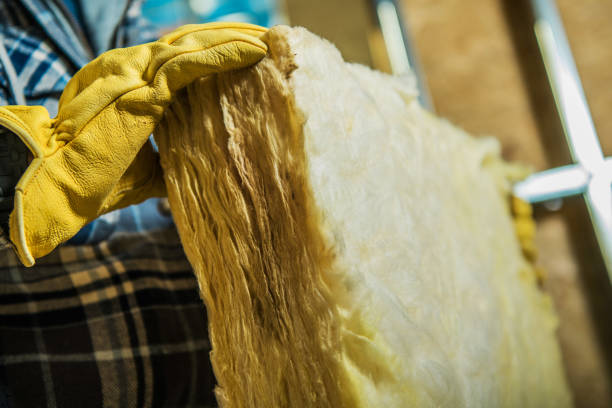 Best Insulation Maintenance and Repair in Taylorsville, UT